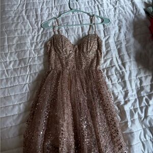 Windsor Beige Sequin Dress